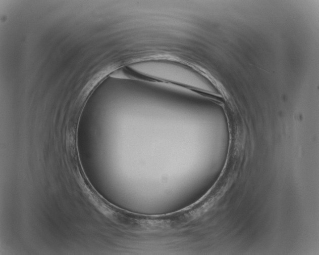 X0000083061281200702161747