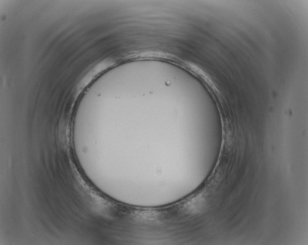 X0000083061282200702161747