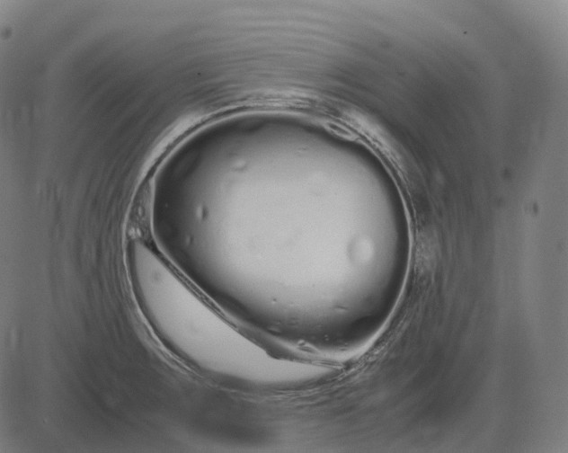 X0000083061283200702161747