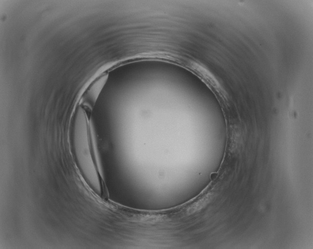 X0000083061284200702161747