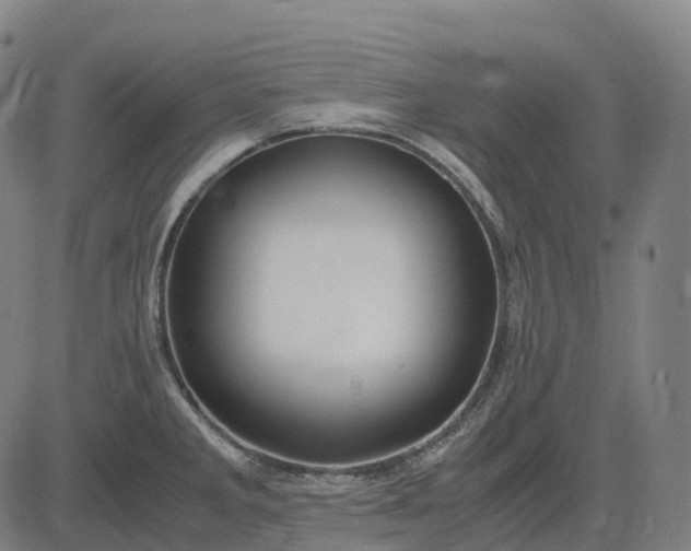 X0000083061285200702161747