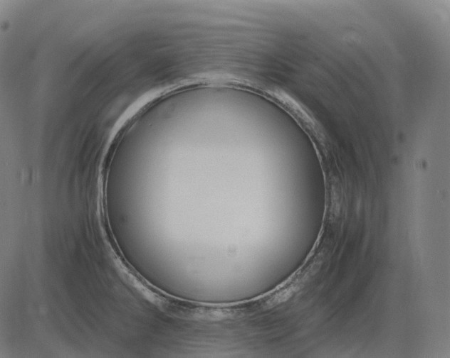 X0000083061286200702161747