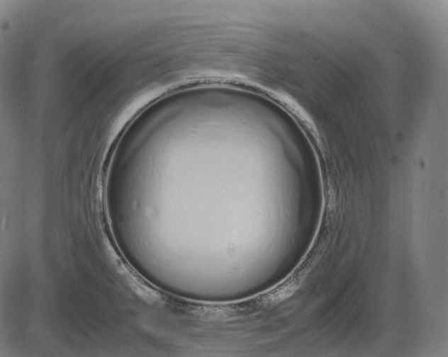 X0000083061287200702161747