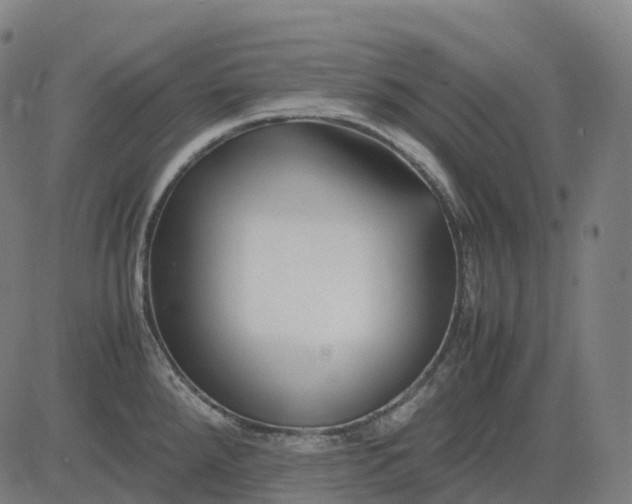 X0000083061288200702161747