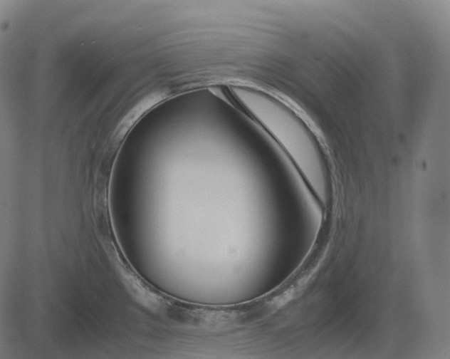 X0000083061289200702161747