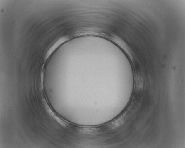 X0000083061290200702161747