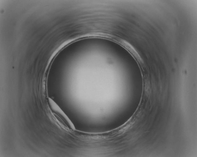 X0000083061292200702161747