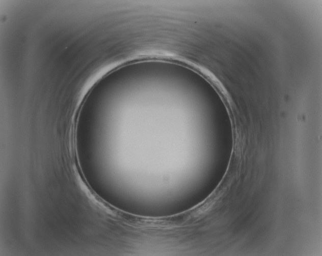 X0000083061295200702161747