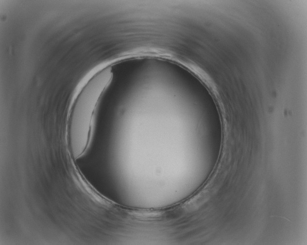 X0000083061296200702161747