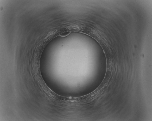 X0000083061297200702161746