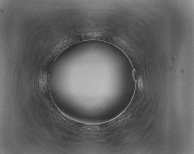 X0000083061299200702161746