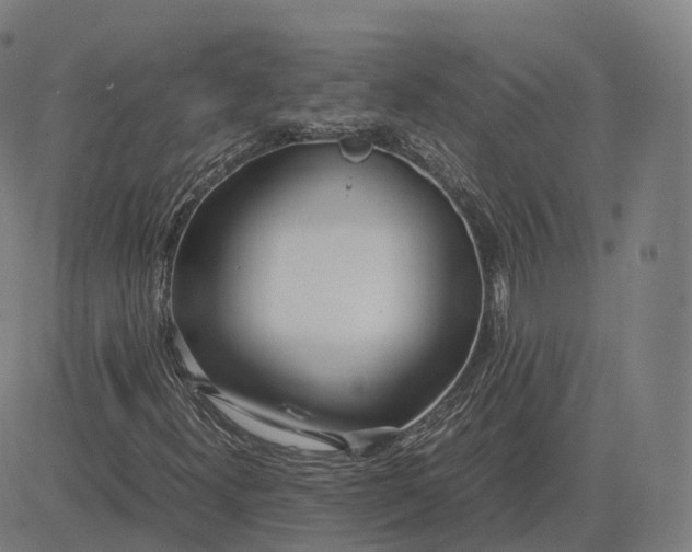 X0000083061300200702161746