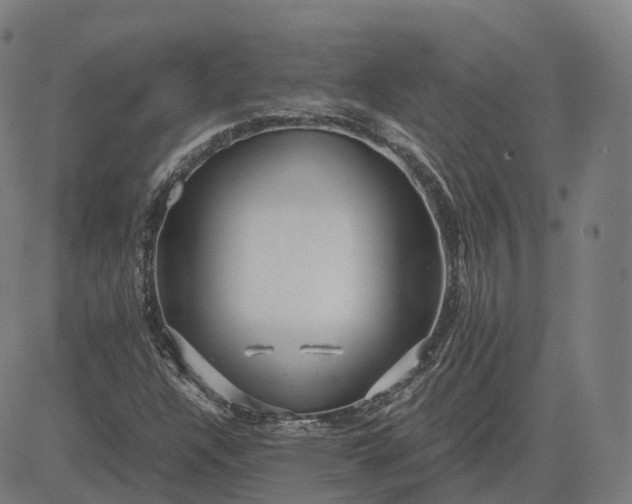 X0000083061304200702161746