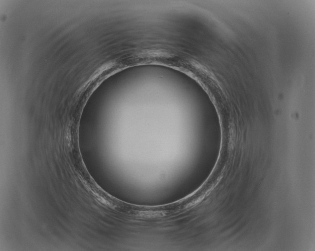 X0000083061305200702161746