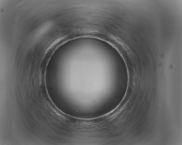 X0000083061306200702161746