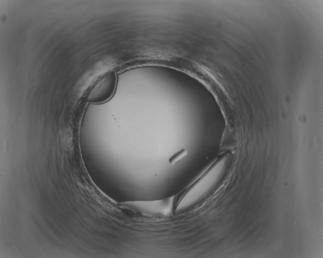 X0000083061307200702161746