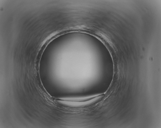 X0000083061308200702161746