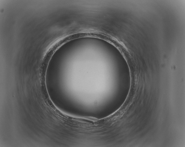 X0000083061311200702161746