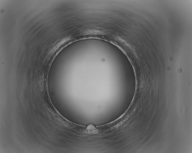 X0000083061313200702161746