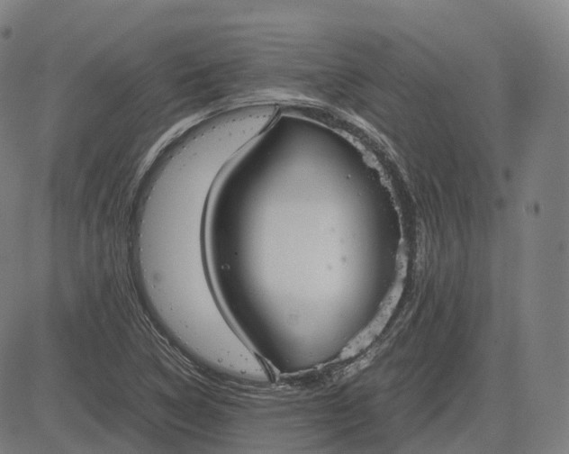 X0000083061314200702161746