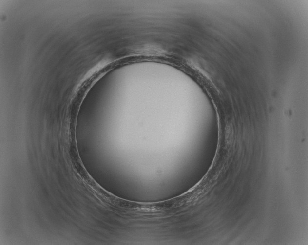 X0000083061315200702161746