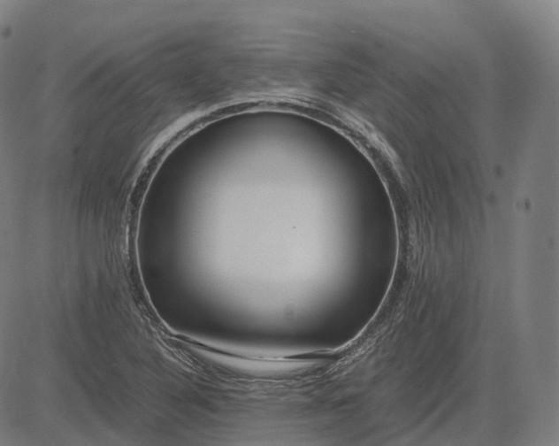 X0000083061316200702161746