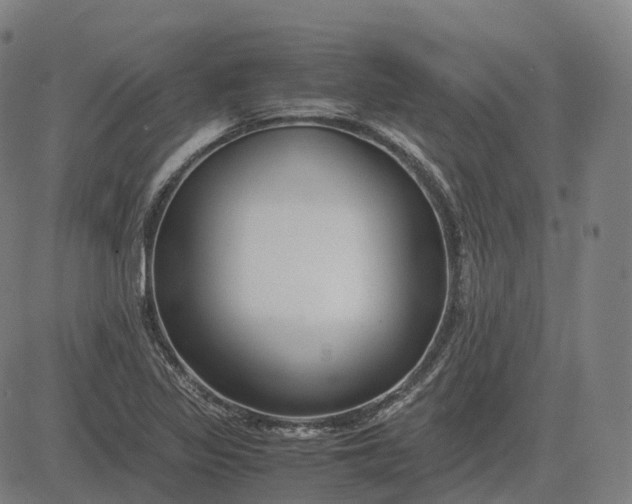 X0000083061317200702161746