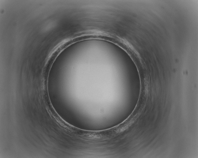 X0000083061318200702161747