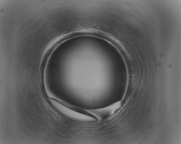 X0000083061319200702161747