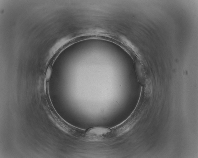 X0000083061320200702161747