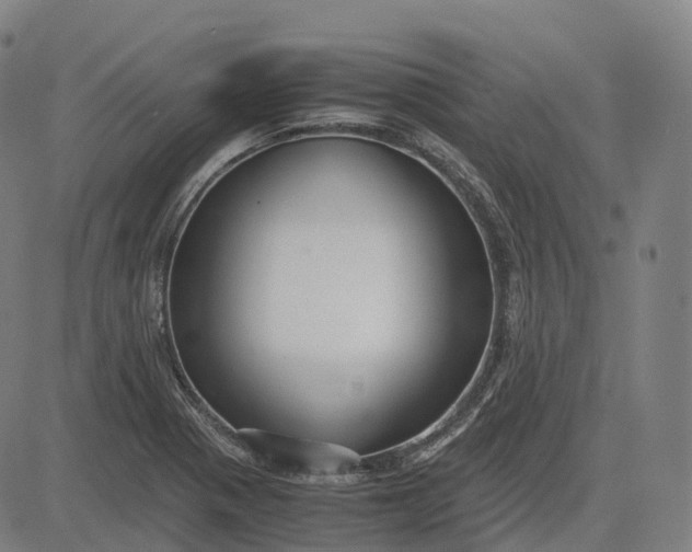 X0000083061321200702161747