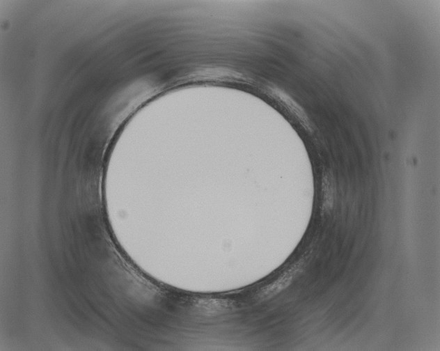 X0000083061322200702161747