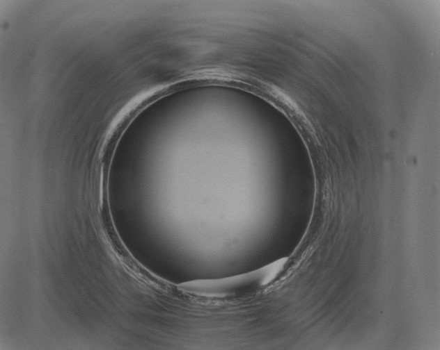 X0000083061323200702161747