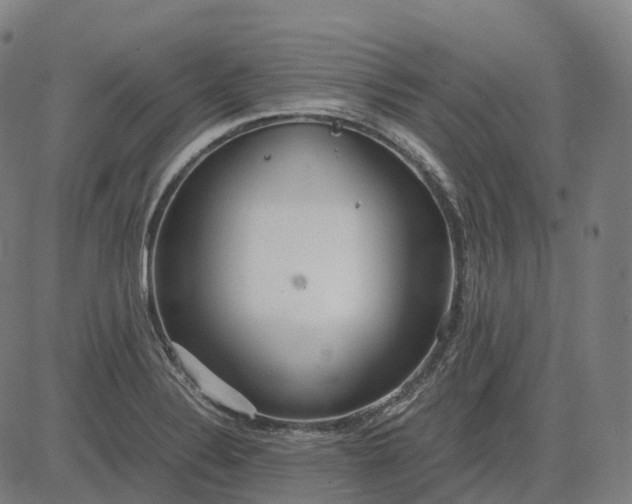 X0000083061324200702161747