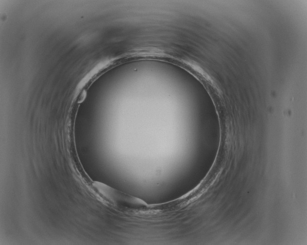 X0000083061325200702161747