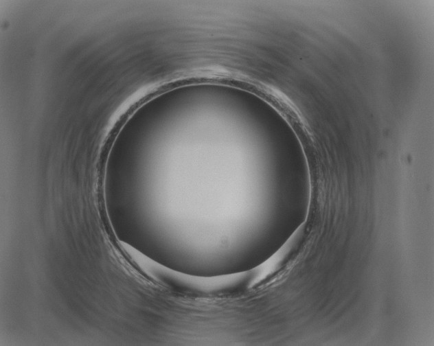 X0000083061326200702161747