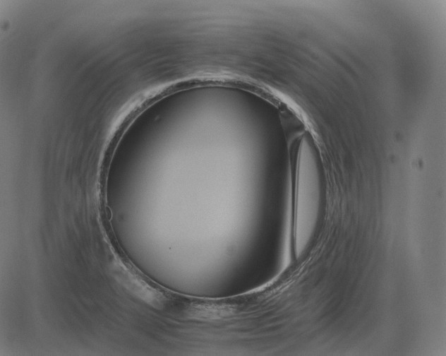 X0000083061327200702161747