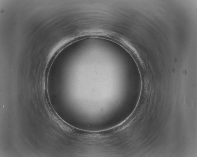 X0000083061328200702161747