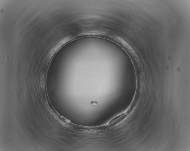 X0000083061329200702161747