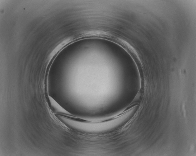 X0000083061330200702161747