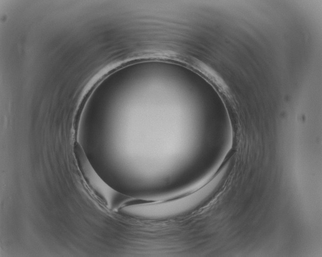 X0000083061332200702161747