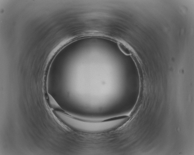 X0000083061333200702161747