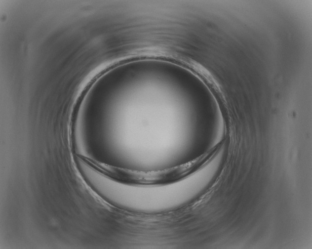 X0000083061334200702161747