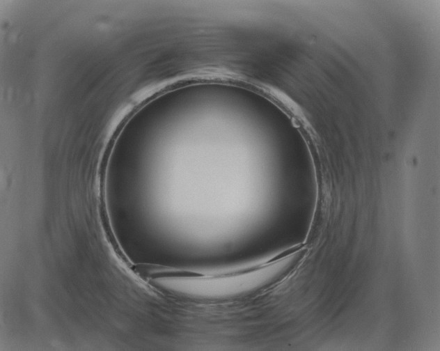 X0000083061335200702161747