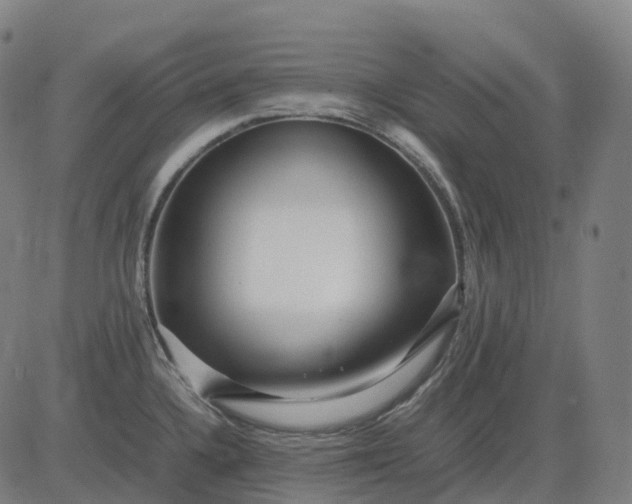 X0000083061336200702161747