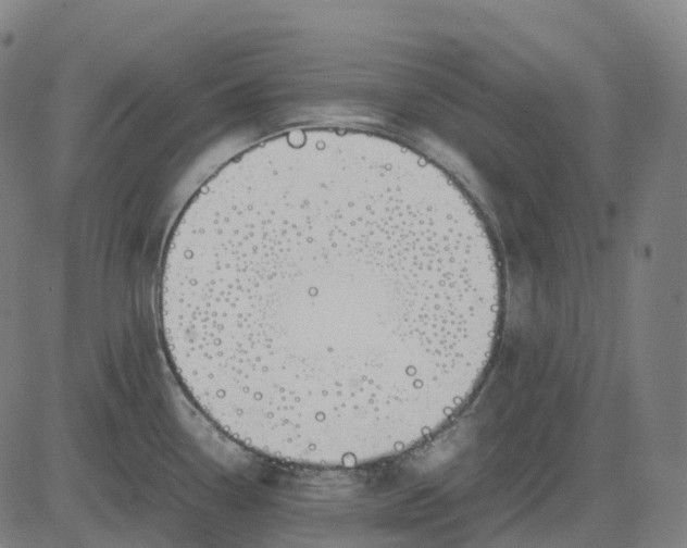 X0000083061338200702161747