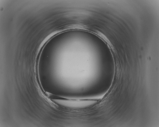 X0000083061339200702161747