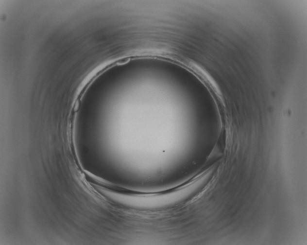 X0000083061340200702161747