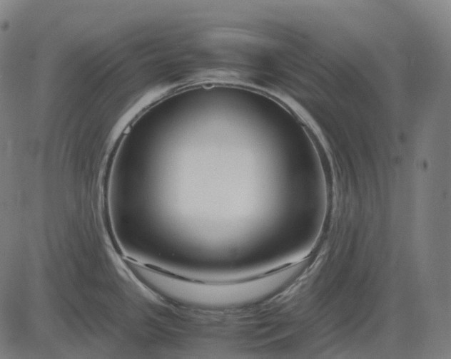 X0000083061341200702161747