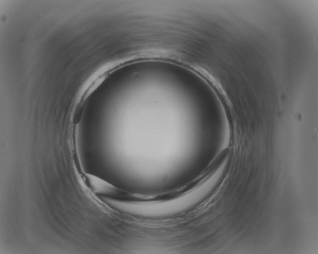 X0000083061342200702161747